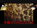 ゆっくり】ガバガバエンジョイ勢のCOJ【SSラン 52本目 修正版
