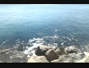 ビーチトレビエハスペイン.3gp
