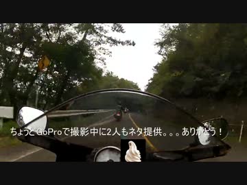 【ZX-6R】鳥取大山お泊りツーリング【中編】