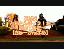 【唏依】とんとんまーえ！を踊ってみた【きゅーかんばあ】