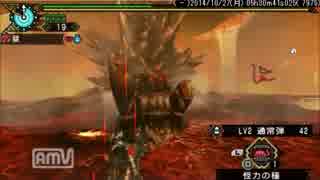 獄炎に座す、覇たる者　ヘビィボウガン　4'42"20