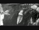 黄衣の王とユゴスのものの映画紹介　Part1