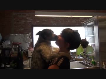 (∪´・ω・)→（∪＾ω＾）捨て犬保護シリーズ　23