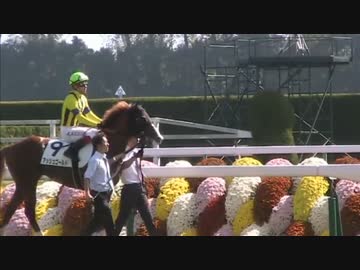 【現地撮影】アッシュゴールド未勝利戦