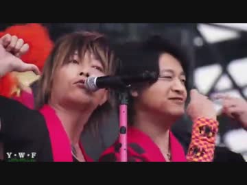 Y・W・F　ダイジェスト