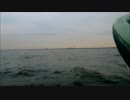 【船外機・疾走】東京湾