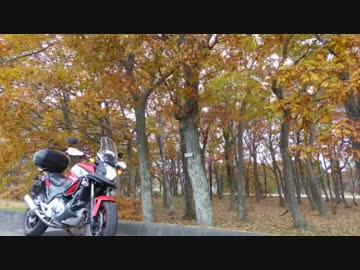 むかわ町に、寿司を食いに行って来た