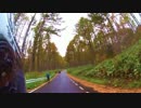 【エストレヤ】あゝ野麦峠【紅葉】
