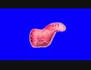 MUR肉BB.mp4