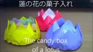 蓮の花の菓子入れ.wmv