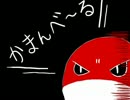 【ポケモンSS】燻し銀魂の実況録part.12【我こそは日本の海の(ry】