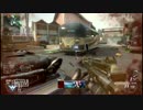 【BO2実況】ハイグレでいいや　～VCPTとテンションMAXドミネーション～