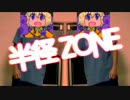 半径 ZONE