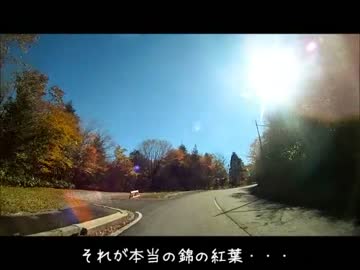 野良猫式ソロキャンプ　神無月の巻　錦の紅葉　後編