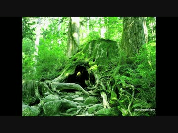 【インスト】木漏れ日の中で【オリジナル曲】