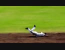 【中日練習動画】　谷繁ノックでボロボロになる吉川大幾