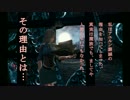 【マビノギ英雄伝】仮装SS投稿イベント撮影まで