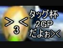 【マリオカート8】実況者タッグ杯2GPだよぉ＞＜【うばまろ】