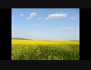 証　バックグランド　共産主義の夢　神国建設.flv