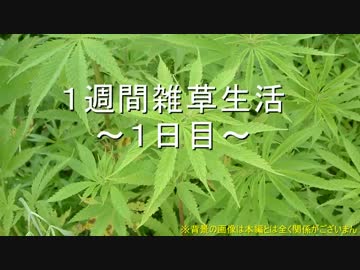 １週間雑草生活　～１日目（午前）～