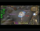 World of Warcraft　対人 攻城戦 Lv90ドルイド （ 6 ）