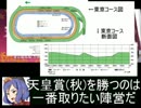 魔理沙の居酒屋競馬予想　163　11月第1週　『天皇賞(秋)』