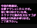 休日は魚釣りに出かけよう Part21