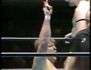 マスターズ　ハンセンＶＳロジャース　フルトン