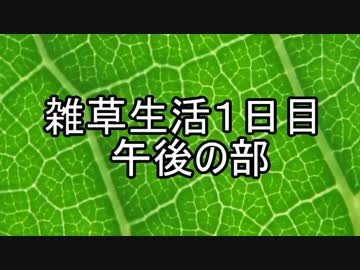 １週間雑草生活　～１日目（午後）～