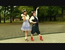 【MMC】ニキ×ぺるで嗚呼、素晴らしきニャン生踊ってみた