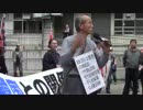 【在特会】大嫌韓デモ in 東京　２【2014/11/2】