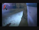 【Dishonored】 不殺の暗殺者14