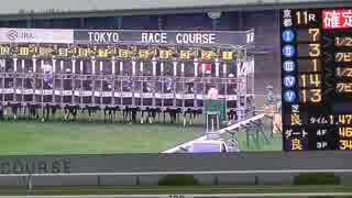 【日記動画】第150回天皇賞秋を京都競馬場で観戦