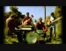Animal Liberation Orchestra - Roses And Clover