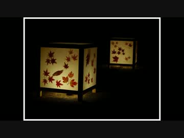 たけはら憧憬の路 町並み竹灯り 2014に行ってきました