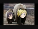 Storm in Loverが全く気付かないうちに森のくまさんになる