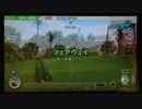 みんなのGOLF6  旗包み？