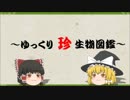 ～ゆっくり　珍　生物図鑑～　第15回 ドワーフ・フェアリー・ミノー
