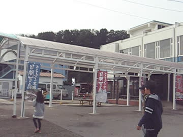 師崎港