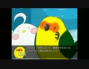 ぴゃぴゃぴゃ、ぴゃー！ぴゃぴゃ！！(訳：可愛いトリのゲームを実況part4)