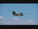 入間航空祭2014