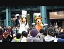 【TDS】フォリーズ　ププッピドゥの時の親子【141031_1回目】