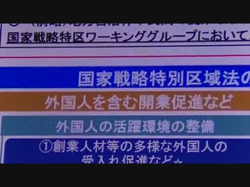 【超緊急拡散」安倍内閣が移民法案を閣議決定して国会に提出（５日前）