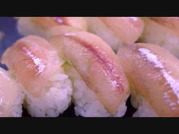 【初めてのししゃも寿司】R100RSで北海道を散歩しようかいヲッチ