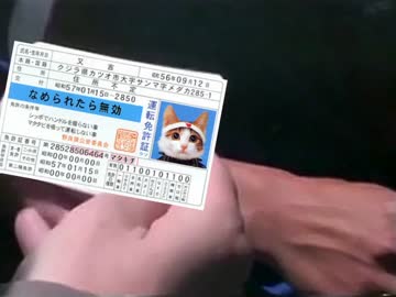 免許証を間違えた一章立教トリオ.nyaatorrent