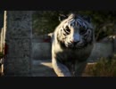 『ファークライ４』 - Story Trailer