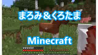 【Minecraft】明かし暮らせたまへばPart29【実況】