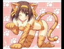 涼宮ハルヒの画集　～ずっと団長のターン！～　ポロリもあるよ