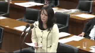 杉田水脈(次世代の党) 衆議院震災復興特別委員会 2014年11月6日