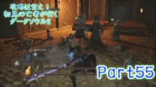 【実況】攻略は甘え！初見の亡者が行くダークソウル2【DarkSoulsII】part55